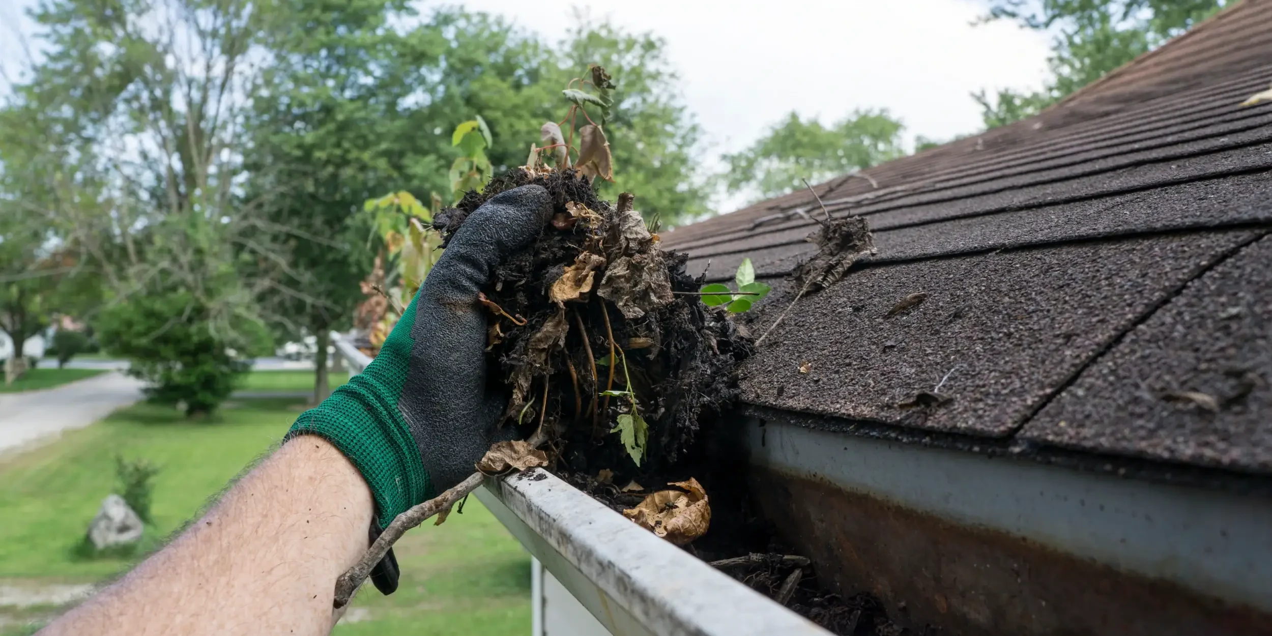 mccann-roofing-roof-cleaning-hampshire